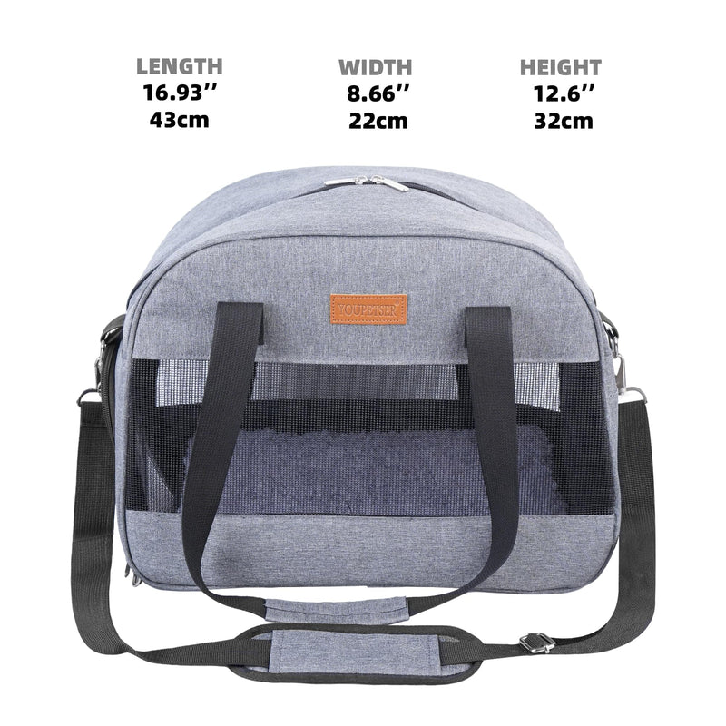 Cat Carrier for Small Cats Dogs, Soft-Sided Pet Carrier for Cats Puppies Small Pets, Lightweight Comfortable Travel Cat Dog Carrier (Black) Black - PawsPlanet Australia