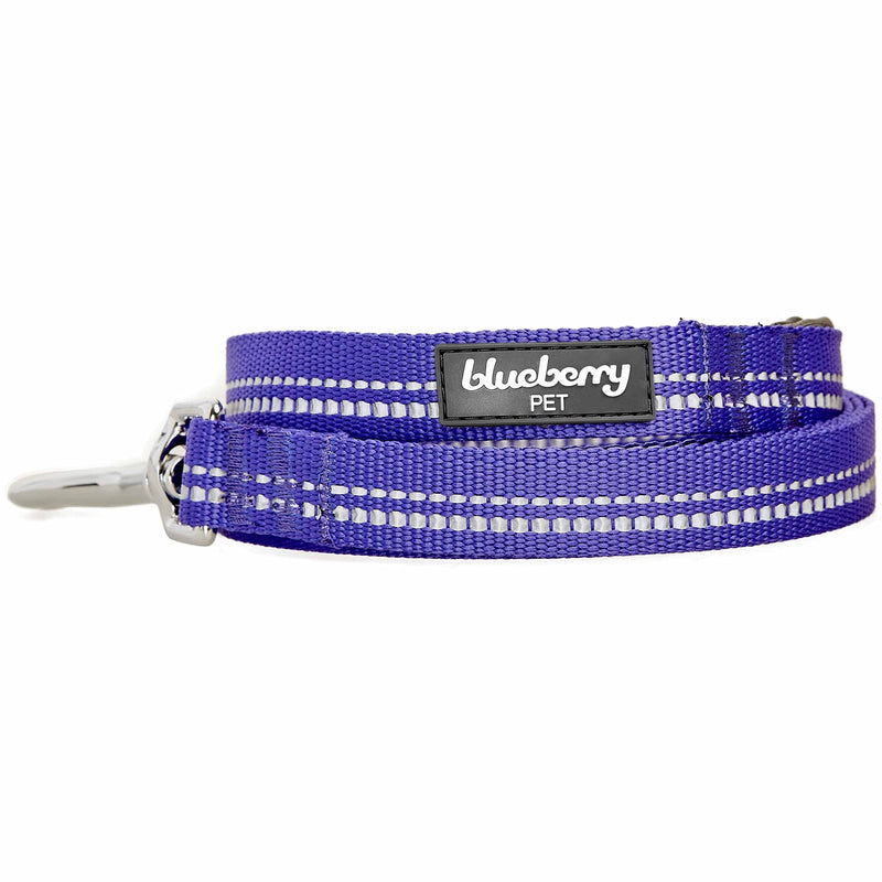 Blueberry Pet 3M Reflective Pastel Color Dog Leash with Soft & Comfortable Handle, 5 ft x 3/4", Violet, Medium, Leashes for Dogs Large