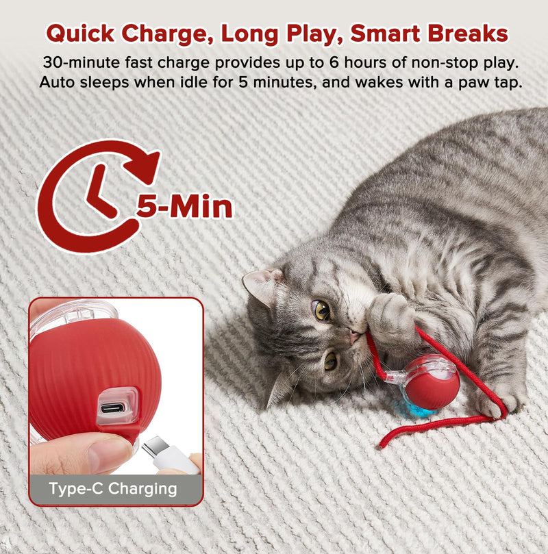 Interactive Cat Toys for Indoor Cats, Motion Activated Cat Ball with 3 Speeds, 2 Replaceable Tails, Safe Material Kitten Toys, USB Charging, 360° Smart Rolling Ball for Bored Adult Cats and Dogs - PawsPlanet Australia
