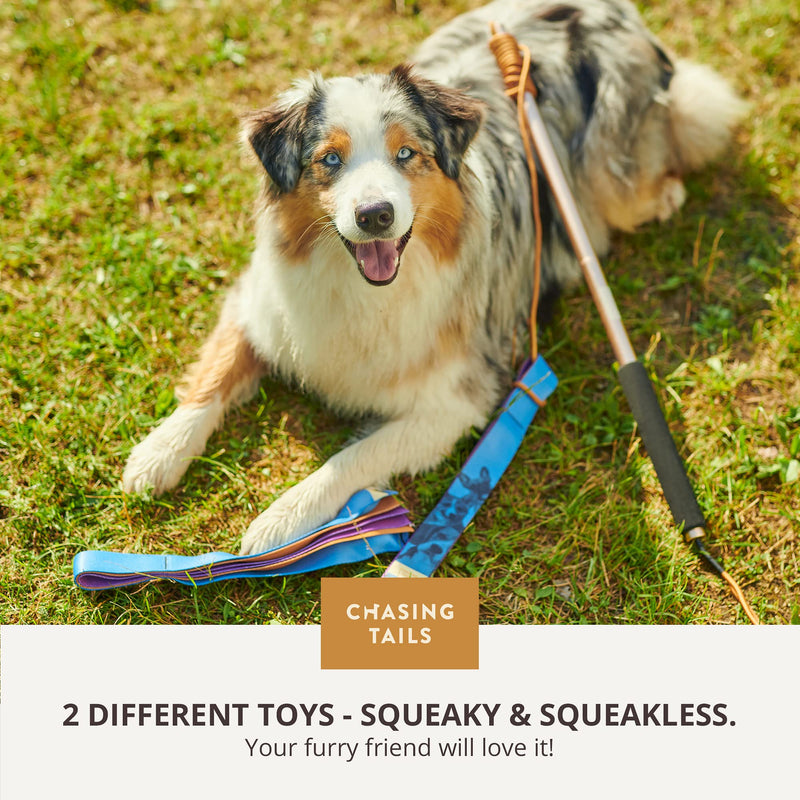 Flirt Pole for Small or Medium Dogs - 26 Inch with 70 Inch Rope and Two Toys for All Breeds - Spring Pole for Dogs, Dog Flirt Pole for Large Dogs, Dog Catcher Pole Pole - 26 Inch - PawsPlanet Australia