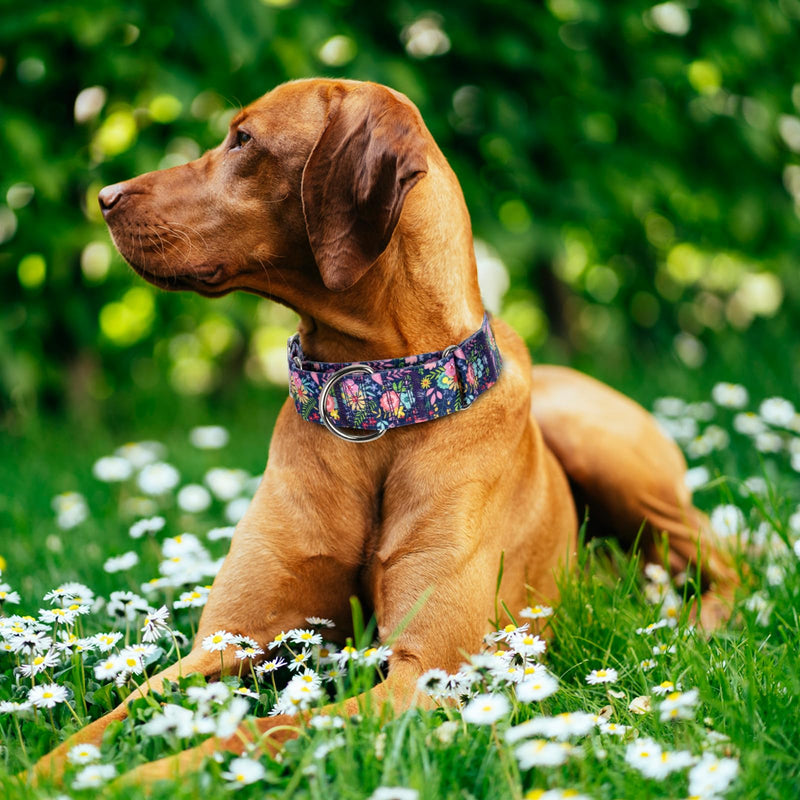 Wide 1.5 Inch Martingale Dog Collar - No Pull & Escape Proof Training Collar for Large Dogs,Adjustable Flower Pattern Thick Slip Collar (Flower,Large) 35 L(Neck17-23")