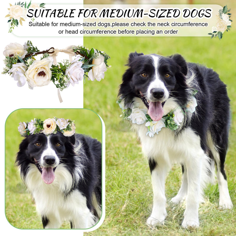 Pearls by Dog Wedding Collar and Leash Set - Elegant Flower Headband with Beaded Pearls - Adjustable Floral Collar (Medium) - PawsPlanet Australia