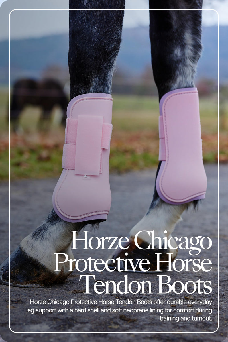 HORZE Chicago Protective Horse Tendon Boots - Lightweight Open Front Boots for Jumping, Trail Riding, and Turnout (Pair) - Lady Light Pink - Pony - PawsPlanet Australia