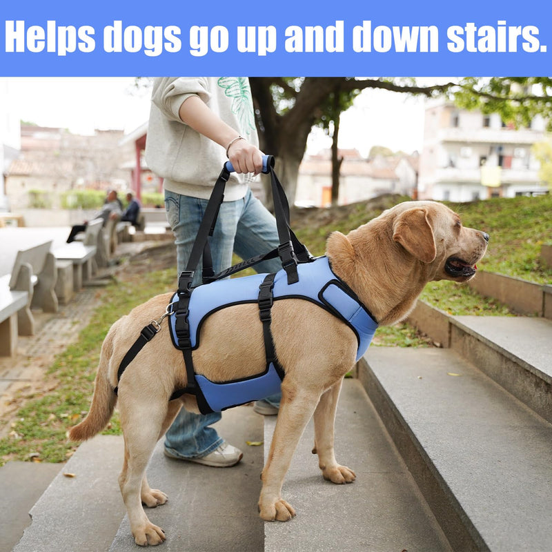 COODEO Dog Harness, Full Body Support & Recovery Sling, Adjustable & Breathable, for Senior, Disabled, Joint Injured, Arthritic & Paralyzed Dogs. (Blue, S) Blue