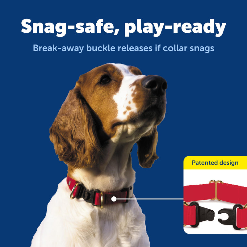 PetSafe KeepSafe Collar for Dogs - Protects Against Collar Accidents - Long Lasting - Durable - Adjustable - Breakaway - Outdoor-Safe - Medium - 1 in. Wide - Black Medium (1 inch) - PawsPlanet Australia