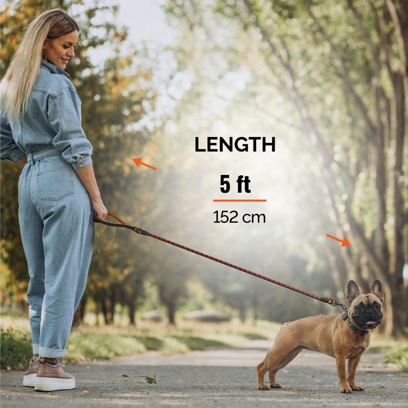 Orange Dog Leash With Soft Padded Handle - 5 Ft Reflective Heavy Duty Leash For Small, Medium & Large Dogs Orange - PawsPlanet Australia