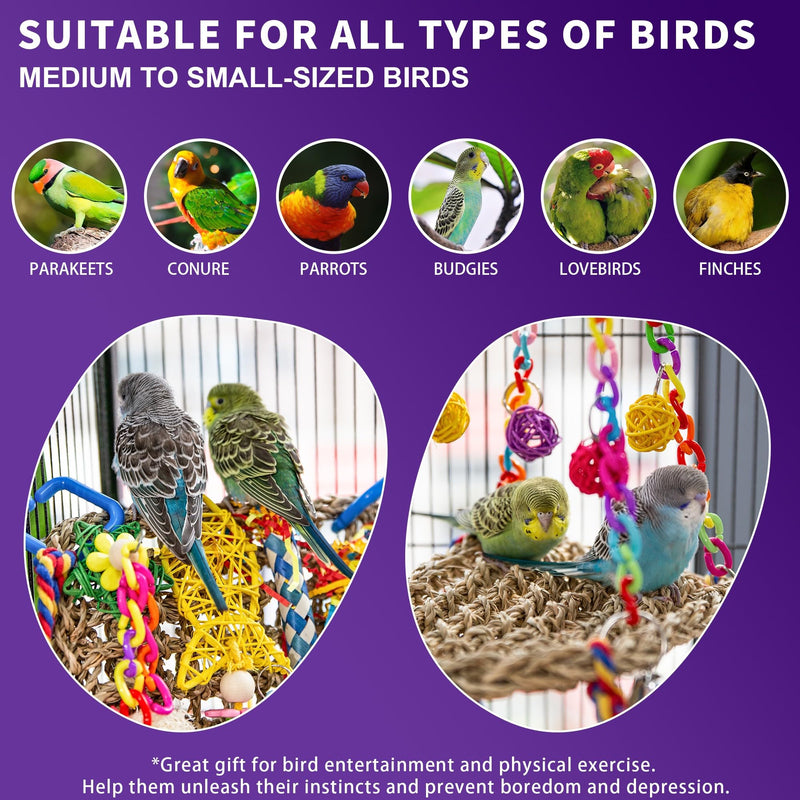 Bird Parakeet Foraging Toys 2PCS - Parrot Cage Accessories Stuff, Natural Woven Climbing Perch Nest, Chewing Toys for Budgerigars, Conure, Cockatiel, Finch, Lovebirds, and Medium, Small Birds