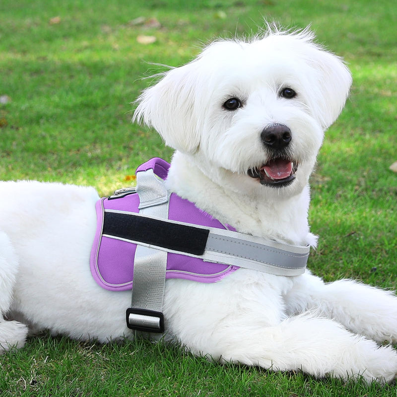 Bolux Dog Harness, No-Pull Reflective Dog Vest, Breathable Adjustable Pet Harness with Handle for Outdoor Walking - No More Pulling, Tugging or Choking (Lavender, Medium (Pack of 1)) Medium (Pack of 1) Lavender - PawsPlanet Australia