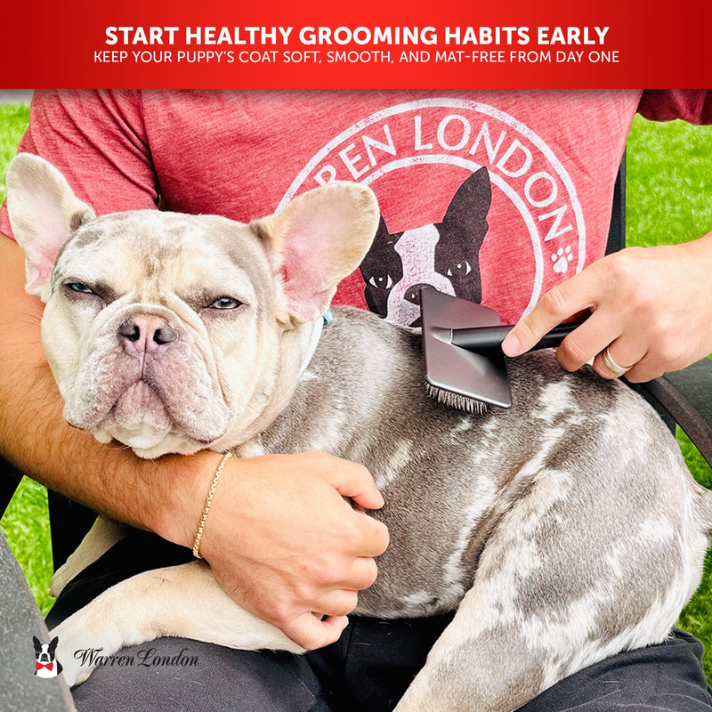 Warren London Gentle Touch Slicker Brush for Puppies & Small Dogs – 4" x 2" Soft Pin Grooming Brush – Tangle Remover for Sensitive Skin – Compact, Lightweight & Easy to Use Gentle Touch Puppy Brush Small - PawsPlanet Australia