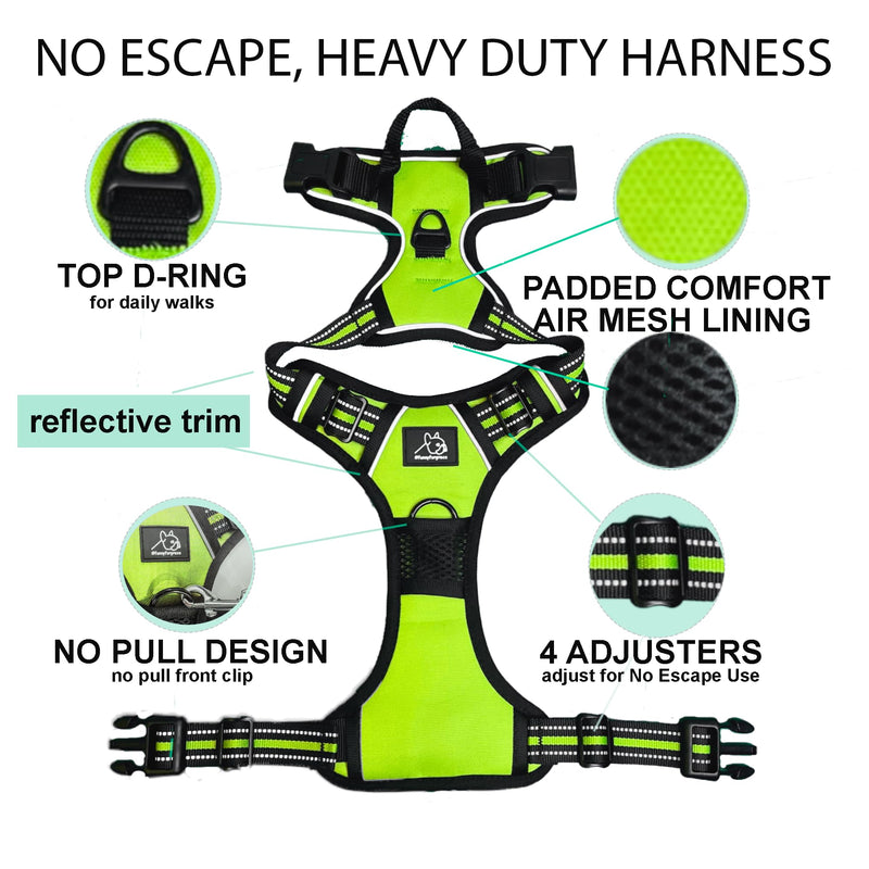 Funny Fur Grace - Neon Green Adjustable Heavy Duty Escape-Proof Harness, No Pull Design - Ideal for Medium Dogs - M Size #funnyfurgrace - PawsPlanet Australia