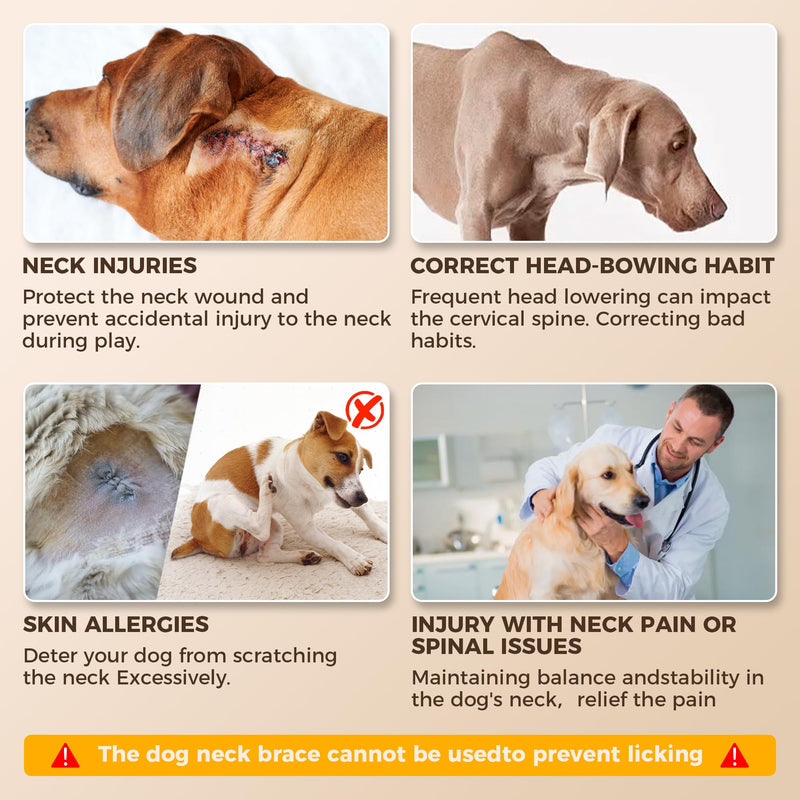 Dog Cervical Collar Neck Brace Supports Cervical Vertebral Sprains Instability, Neck Brace for Dog Limit The Range of Movement up and Down, Dog Cervical Brace Helps Recover from Cervical Sprains XL SBR XL(Neck Girth20"-24"/Neck Length5") - PawsPlanet Australia