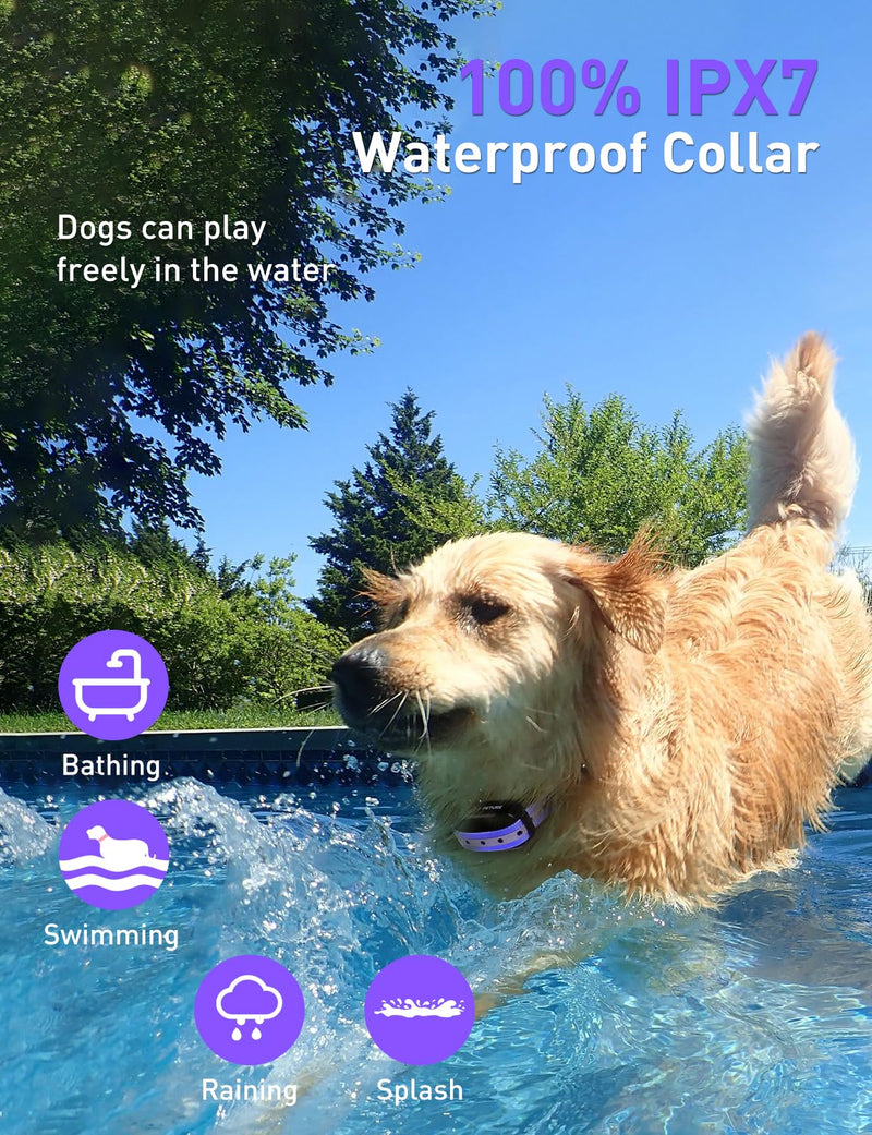 Dog Shock Collar 2 Dogs (10-120lbs) - 3300Ft Dog Training Collar with Beep, Vibration & Shock, IPX7 Waterproof Rechargeable Dog Shock Collars for Small Medium Large Dogs, Security Lock, Purple Purple 2pc - PawsPlanet Australia
