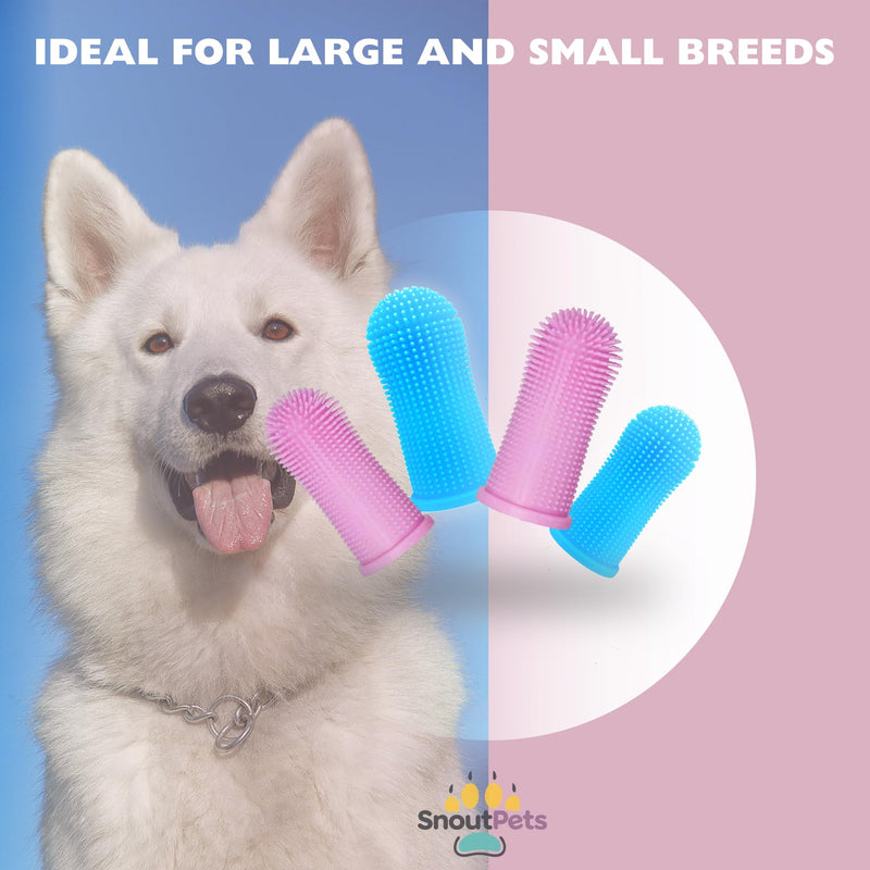 Cylindrical dog toothbrush for Dogs–the Easy to Use Dog Tooth Brushing Kit, With of Toothbrush for Dogs you will get the Hygiene, Takes Care of Teeth and Gums, Ideal for Pets of All Ages-2 Pack Blue, Pink 1 Count (Pack of 2) - PawsPlanet Australia