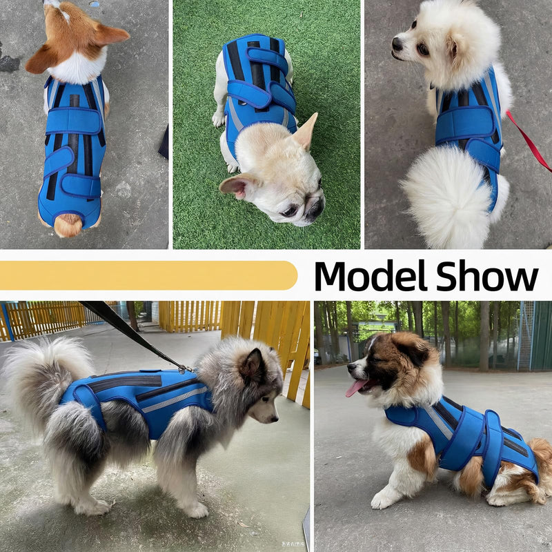 Dog Back Brace M, Adjustable Spine Support Vest for IVDD, Slipped Disc, Herniated Disc, Arthritis, Post Surgery Recovery, Back Pain Relief for Dachshund,Corgi Blue