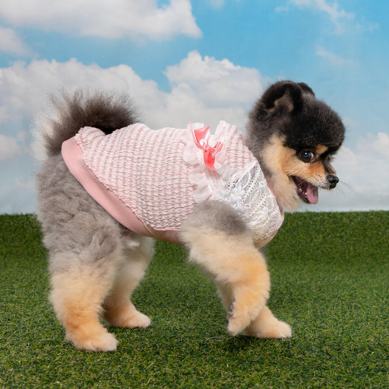 Pinkaholic New York Mary Dog Shirt Round NeckTrendy Fashionable Cute Dog Apparel for Small Dogs, Pink, Small Pink_Mary - PawsPlanet Australia