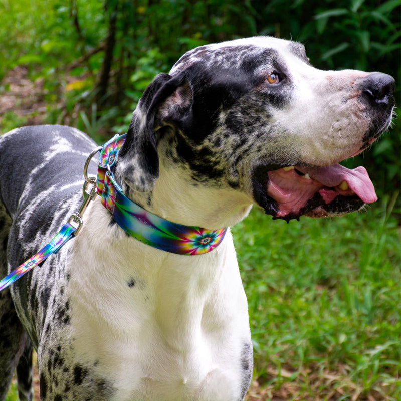 Country Brook Petz - HossFit Jr Wide Martingale Dog Collar - Groovy Collection Featuring Far Out Designs (Tie Dye Flowers, Medium) Medium (Pack of 1) Tie Dye Flowers