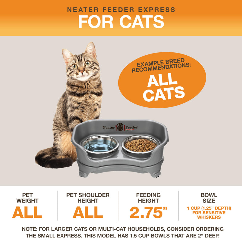 Neater Feeder Express Mess Proof Cat Bowls Elevated, No Spill Feeding Station, Stainless Steel Dishes for Food and Water, Raised Bowls for Indoor Cats, No Fatigue Whisker Friendly Dish, Gunmetal Grey Cat with Regular Bowls