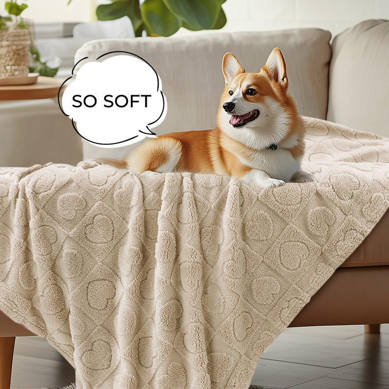 Luciphia 1 Pack 2 Small Dog Blanket Washable Pet Bed Cover Soft Fluffy Puppy Blanket with Premium Fleece 300GSM Cozy Calming Cat Blankets for Indoor Cats Beige 41x31 inch 2pcs Beige - PawsPlanet Australia
