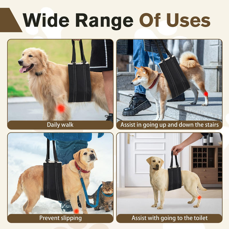 Adjustable Dog Lifting Harness for Large Dog Mobility Aids Support Sling for Weak Rear Legs Dog Lifting Harness for The Senior Injured Disabled and After ACL Surgery Rehabilitation Dog (Black, L)