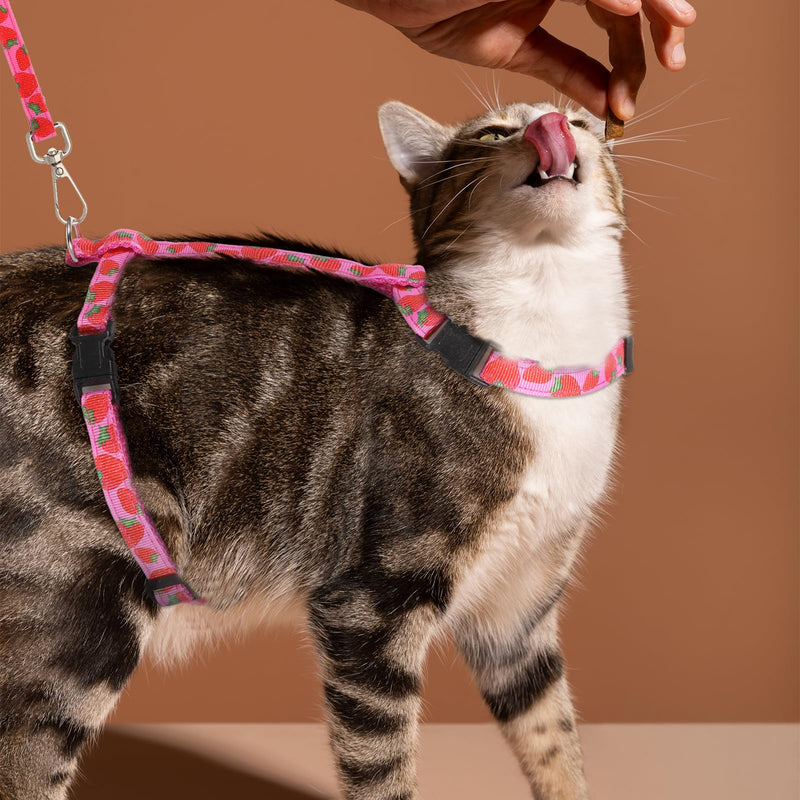 2 Pack Cat Harness and Leash with Collar Set, Adjustable Kitten Harness Escape Proof for Small Medium Cat Safe Walking and Travel, Lightweight Soft Comfortable - PawsPlanet Australia