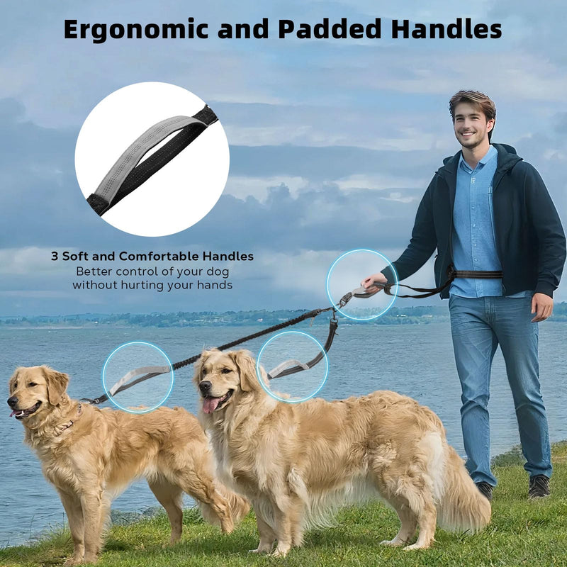 Hands Free Dog Leash, Waist Leash for 2 Dogs, Adjustable Double Hands Free Lead with Detachable Waist Belt, Padded Handles, Shock Absorbing Bungee for Walking Jogging Hiking, Black+Gray 6.9ft