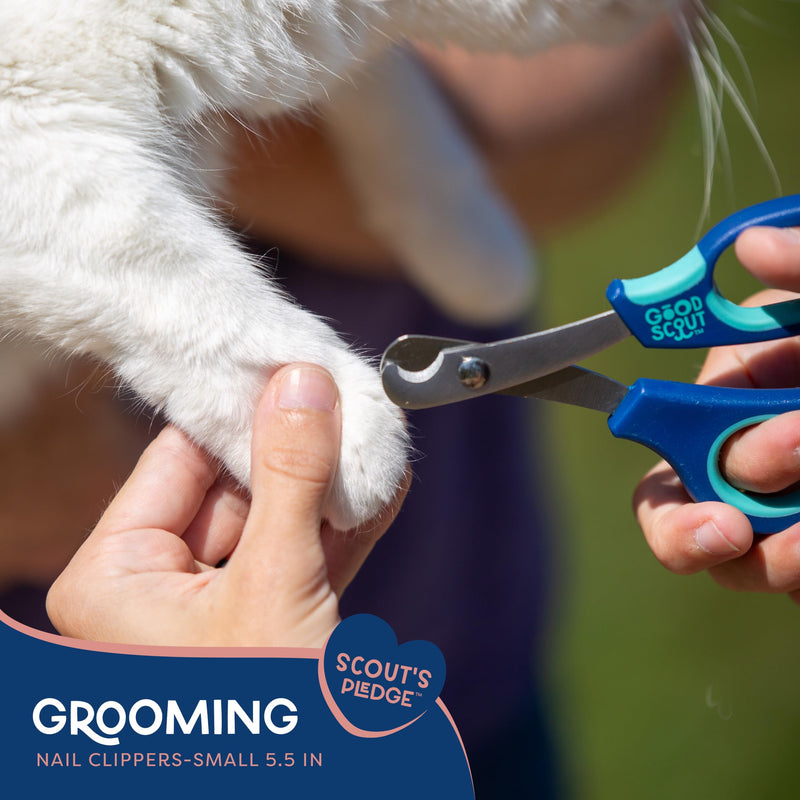 Good Scout Medium Pet Nail Clippers, Best Dog Nail Trimmers & Cat Nail Trimmers, Non-Slip Handle Canine Nail Clippers with Stainless Steel Strong Blades for Quick & Easy Nail Trimming, 5.5-Inch 5.5 Inch - PawsPlanet Australia