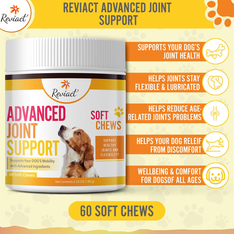Advanced Canine Joint Supplement – Joint Care for Dogs – Active Dog Supplement with Devil’s Claw Boswellia & Turmeric – Tasty Dog Supplement for All Dog Breeds and Ages - PawsPlanet Australia