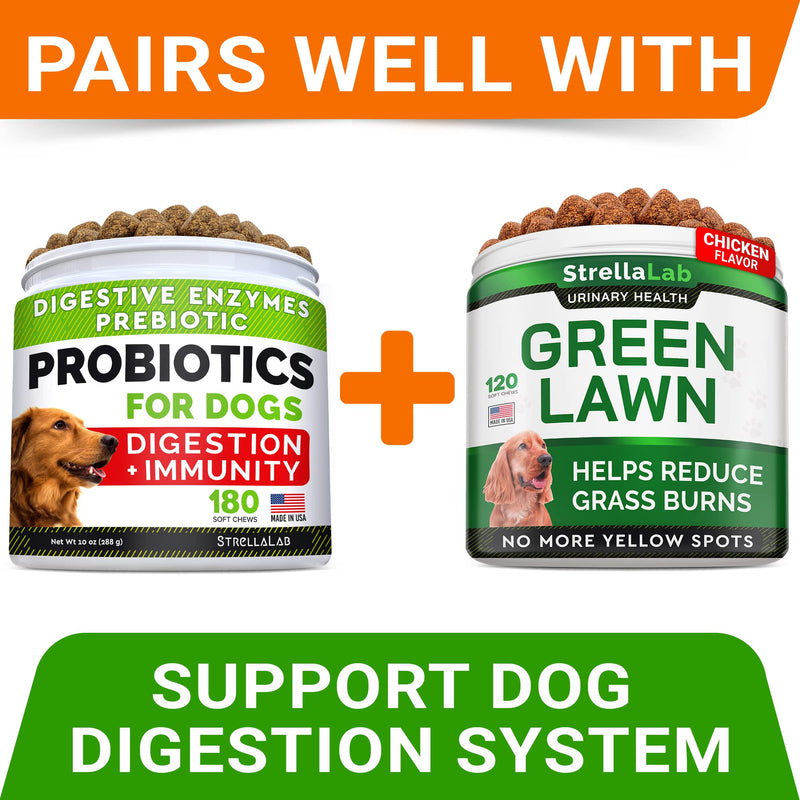 STRELLALAB Grass Burn Spot Chews for Dogs - Dog Urine Neutralizer for Lawn - Dog Pee Lawn Spot Saver - Natural Treatment Caused by Dog Urine - Grass Treatment Rocks -DL-Methionine+Enzymes - 120 Chew - PawsPlanet Australia