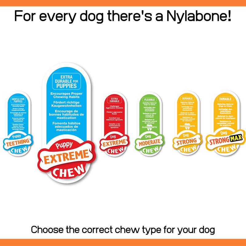 Nylabone Puppy Extreme Tough Chew Toy Bone, Beef Stew & Veg Flavour, Large - PawsPlanet Australia