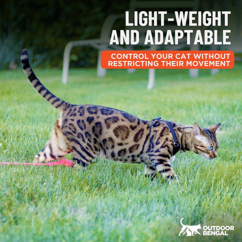 Houdini™ Escape Proof Cat Harness and Leash Set by OutdoorBengal – Black, Large Cat Harness for Walking Big Cats XL - PawsPlanet Australia