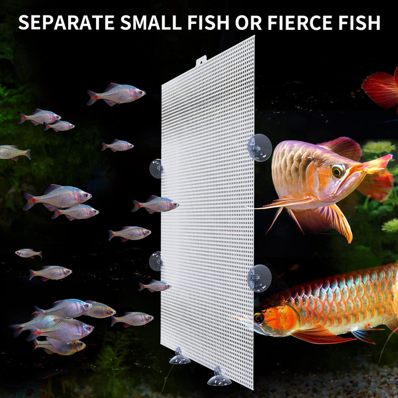 2 Pack Fish Tank Divider, Aquarium Divider Clear Plastic Cuttable Grid Plate Juvenile Fish Separator DIY Designed Clear Easy to Bent Cut and Assemble 10 * 13in (Suction Cups are Included) (26 * 33cm) 13*17.3in - PawsPlanet Australia
