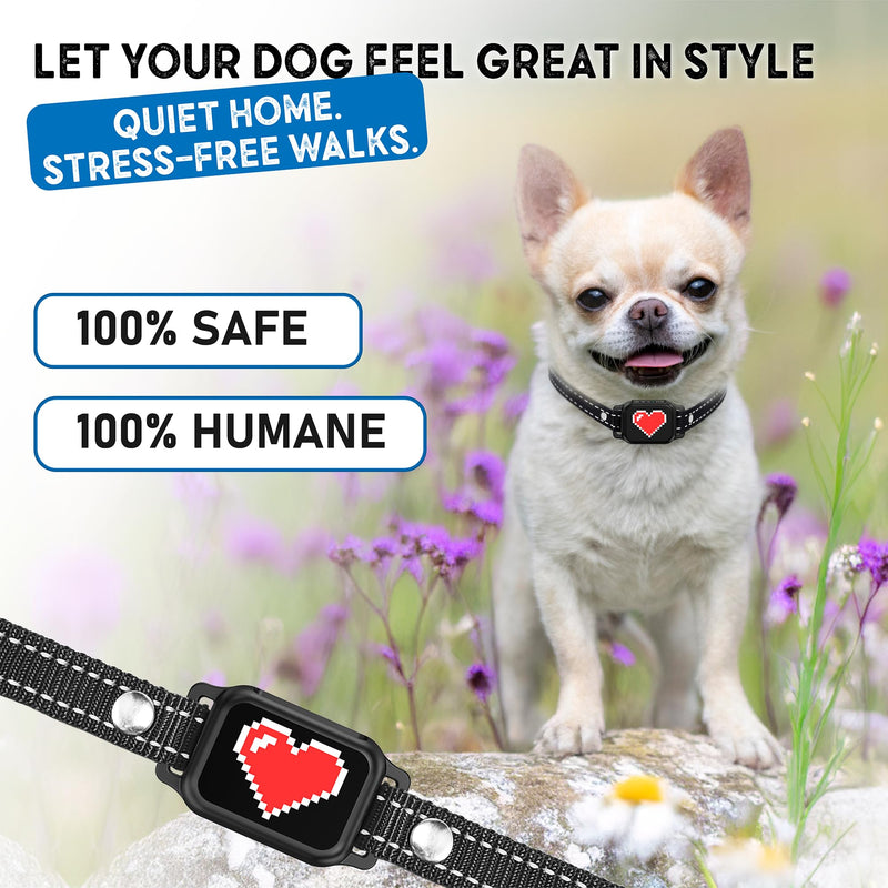 Bark Collar for Small Dogs 5-15 lbs with Magnetic Charging – No Shock, 3 Beep & Vibration Modes, 5 Sensitivity Levels – Humane Stop Anti-Barking Device – Dog Training Bark Collar (Black/Red Heart) Black/Red Heart - PawsPlanet Australia