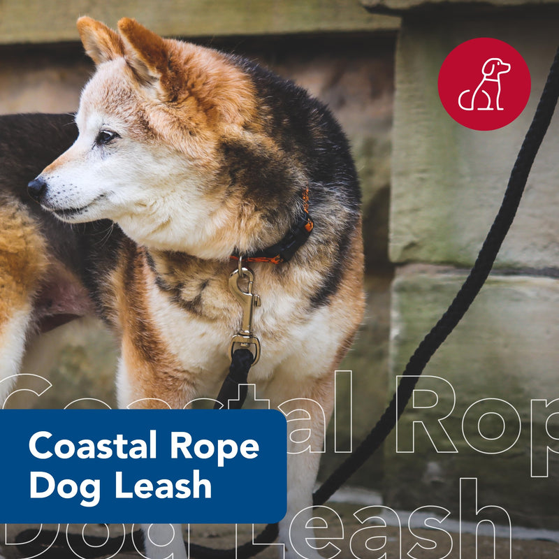 Coastal Pet Rope Dog Leash - Tangle-Free Walking - Soft-Braided Nylon - Fade-Resistant Colors with Snap Swivel Hook - Black, 1/2" x 6' 1/2" x 06' (Pack of 1) - PawsPlanet Australia