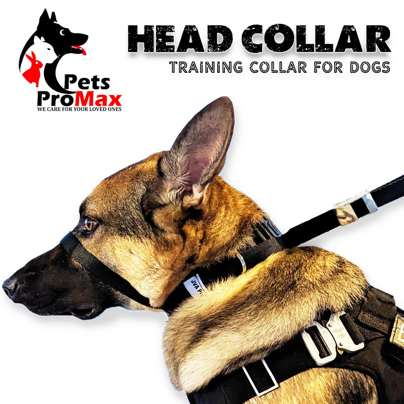 PetsProMax No-Pull Dog Headcollar (Large) | Instant Stop Pulling | Gentle Training Collar for Dogs | Comfortable, Safe, and Effective Walking/Training Solution (L) Black Large (L) - PawsPlanet Australia