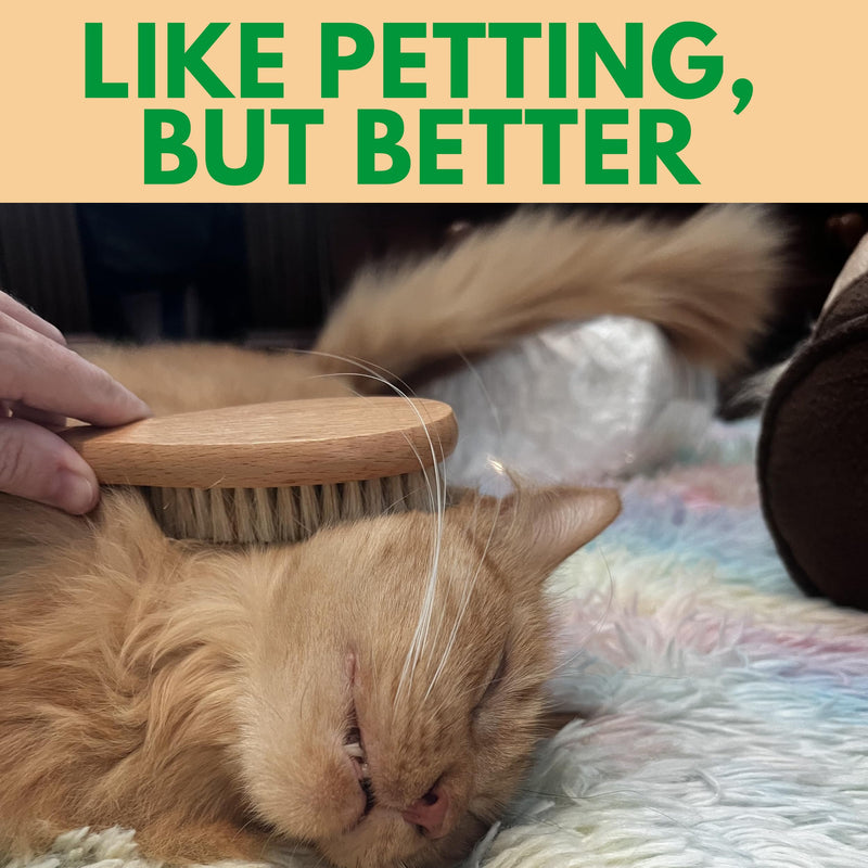 GranNaturals Boar Bristle Soft Cat Brush for Indoor, Outdoor, Short Haired Cats, Kittens, Small Dog, Rabbit, Furry Pets - Gentle Grooming on Sensitive Hair Coat & Tail with Durable Wooden Handle - PawsPlanet Australia