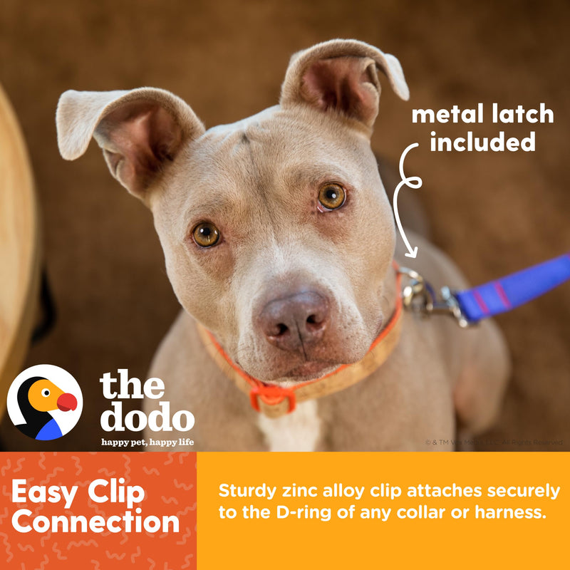 The Dodo Bungee Dog Leash, Blue - Easily Attaches to Any Dog Collar or Harness D-Ring - Two Length Options - Comfortable 4 Feet Walking Leash for All Dogs - PawsPlanet Australia