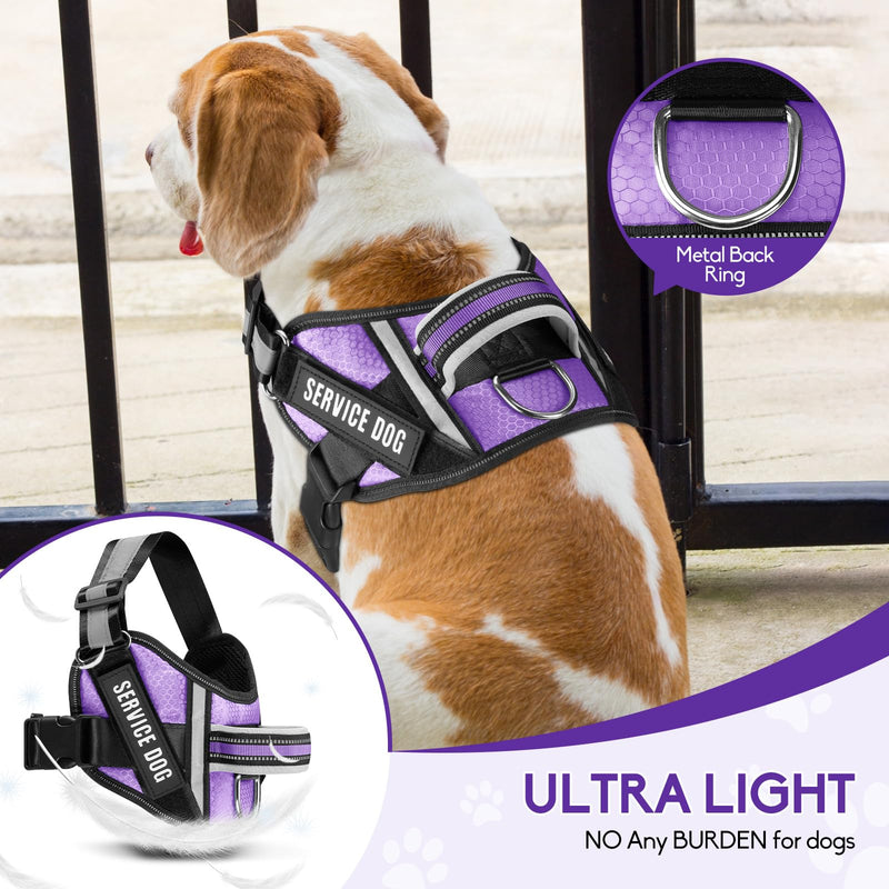 Service Dog Vest Harness and Leash Set, Animire in Training Dog Harness with 10 Dog Patches, Reflective Dog Leash with Soft Padded Handle for Small, Medium, Large, and Extra-Large Dogs (Purple, M) Purple - PawsPlanet Australia
