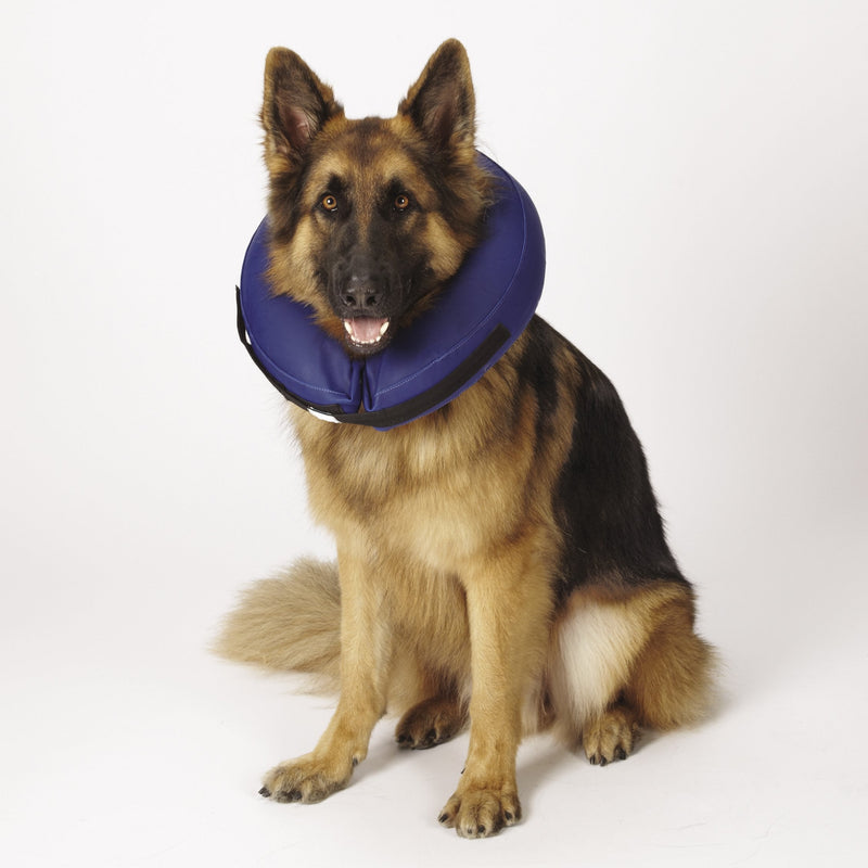Inflatable Dog Collars - Veterinarian-Approved Collars Designed to Prevent Pets from Scratching and Biting at Injuries, Stitches, Rashes, and Wounds - Large, Blue Large- 13"-18" - PawsPlanet Australia