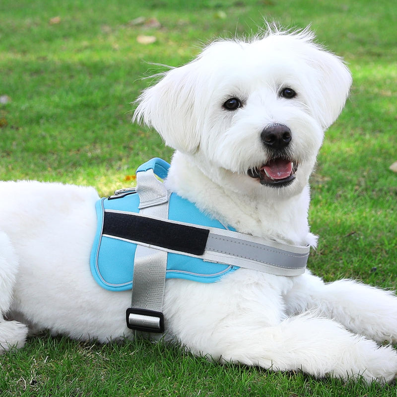 Bolux Dog Harness, No-Pull Reflective Dog Vest, Breathable Adjustable Pet Harness with Handle for Outdoor Walking - No More Pulling, Tugging or Choking (OceanicBlue, Large (Pack of 1)) Large (Pack of 1) OceanicBlue - PawsPlanet Australia