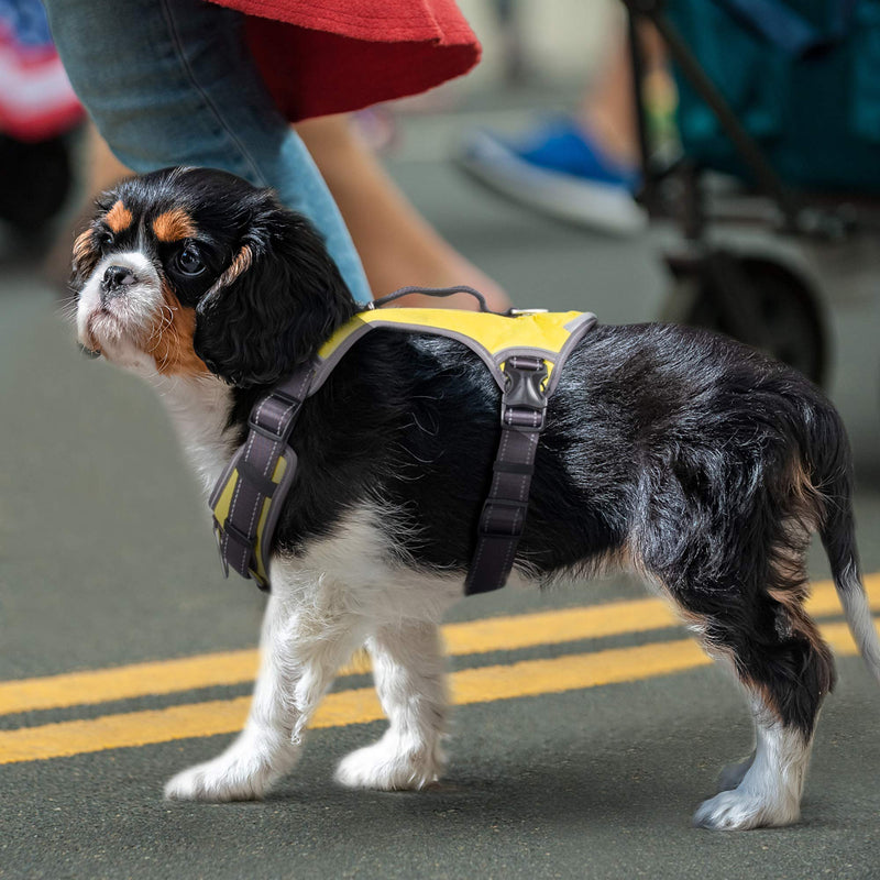 Fida Dog Harness, Multi-Functional No-Pull Pet Vest Harness with Saddle Bags Backpack, Front Leash Clip, Adjustable Soft Padded Reflective No-Choke Dog Vest Heavy Duty for Small Dog, S, Yellow Small (Neck:14"-18";Chest:20"-22.5") - PawsPlanet Australia