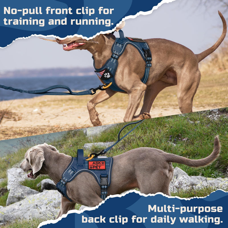 rabbitgoo Dog Harness No Pull, Military Dog Harness Medium Sized Dog with Handle & Molle, Easy Control Service Dog Vest Harness Training Walking, Adjustable Reflective Tactical Pet Harness, Blue, M - PawsPlanet Australia