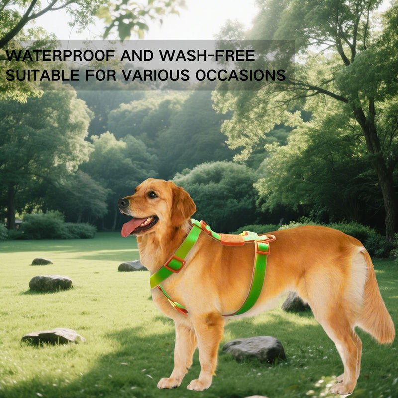 Waterproof No Pull Dog Harness, Adjustable Easy Walk Vest for Small, Medium and Large Dogs, Heavy Duty Secure Fit Pet Walking Harness for Training and Outdoor Adventures, Dark Blue, L Dark Blue on Blue - PawsPlanet Australia