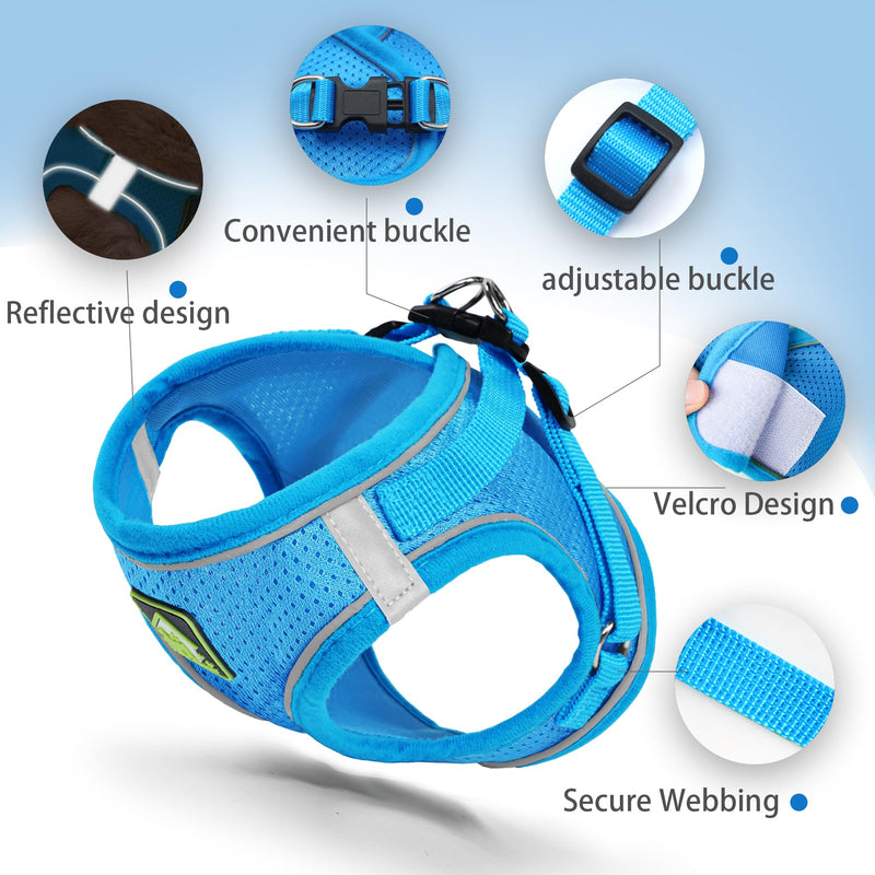 Step in Dog Harness with Leash Set, Adjustable Soft Padded and Breathable Mesh for Small Sized Dog, Reflective No Pull No Choke Cat Vest Harness, Easy Control Pet Vest, Blue S - PawsPlanet Australia
