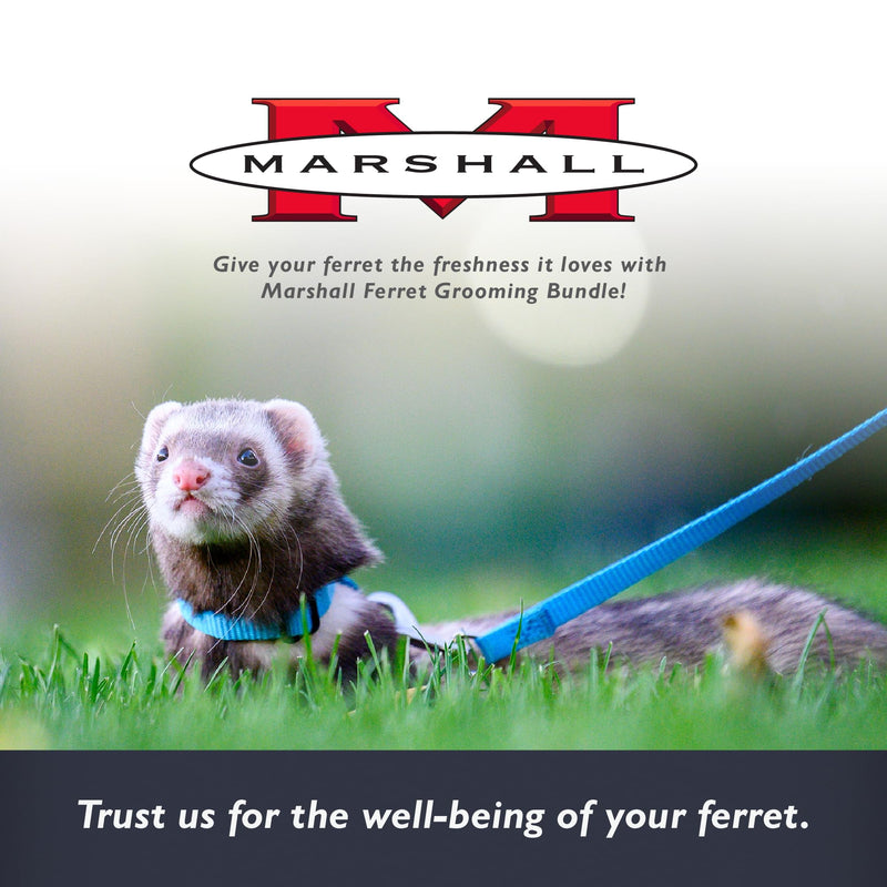 Marshall Ferret Grooming Bundle – Aloe Waterless Shampoo 5 oz, Nail Clippers, and Grooming Brush – Convenient Set for Freshness, Healthy Coat, and Nail Care - PawsPlanet Australia
