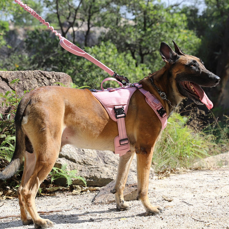 ICEFANG GN8 Tactical Dog Harness for Medium Sized Dogs,Full Metal Buckles,Reflective in Training Walking K9 Dog Vest,No-Pull Front Leash Clip,Adjustable Pet Harness (Pink, M (Pack of 1)) Medium (Pack of 1) Pink - PawsPlanet Australia