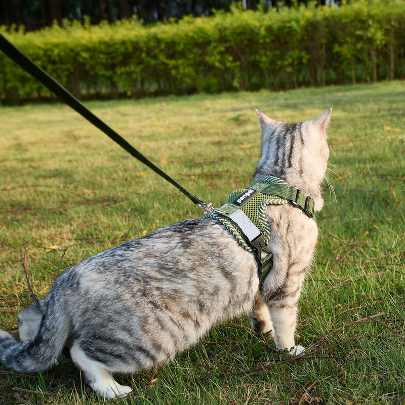 Cat Harness and Leash Escape Proof Extra Large Kitten Harness Maine Coon Cat Vest for Walking Travel, Dark Green, XXL XX-Large - PawsPlanet Australia