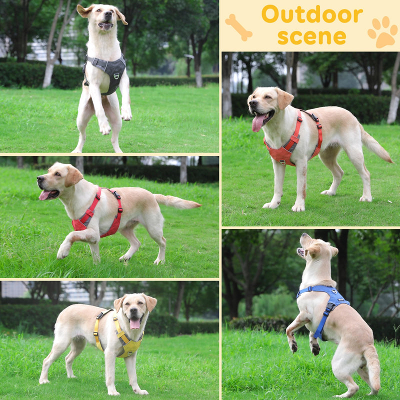 LIOPARD Dog Harness, Easy Walk Pet Harness No Pull with 2 Leash Clips, Reflective Running Soft Padded Adjustable Puppy Vest, Heavy Duty Seatbelt Harness for Car for Small Dogs (Yellow, XL) yellow - PawsPlanet Australia