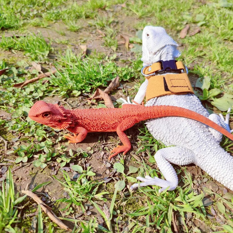 3 Pack Bearded Dragon Harness and Leash Set - Adjustable Soft Leather Lizard Harness Leash Small Animal Traction Rope Training Walking Vest Accessories for Reptile Squirrel Rat (Brown) Brown - PawsPlanet Australia
