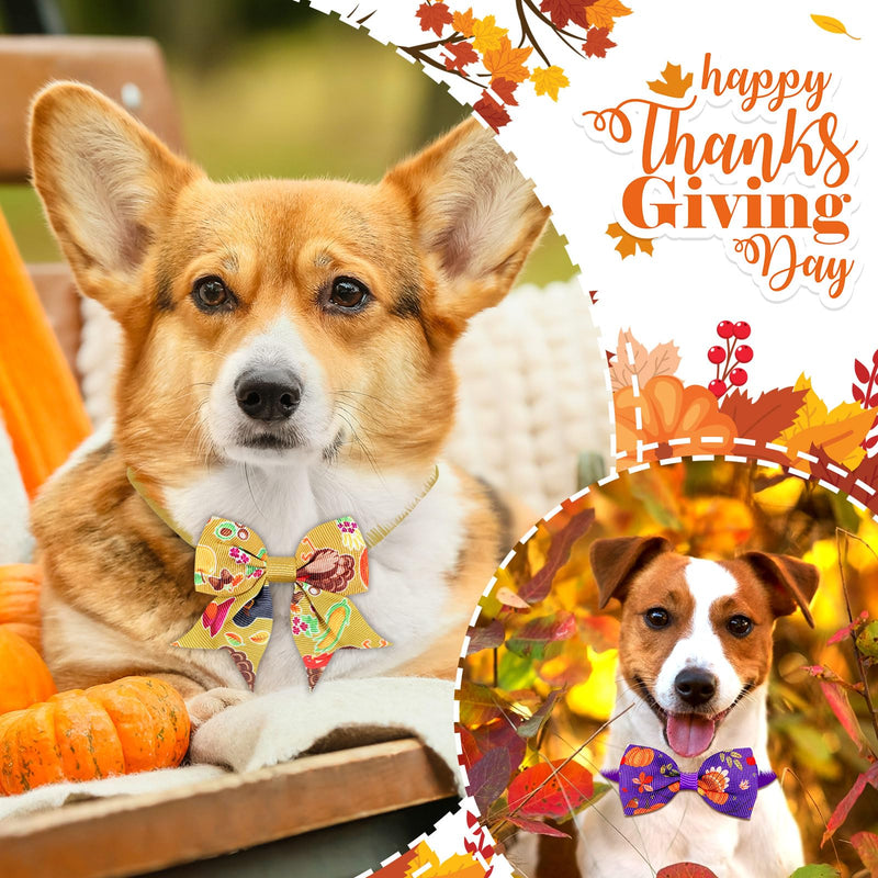 Sadnyy 60 Pcs Fall Dog Bows Bulk Thanksgiving Dog Collars Adjustable Turkey Pumpkin Puppy Bowtie Collar Includes 24 Pet Neck Ties and 24 Bowties 12 Pet Bowknot Set for Grooming Decor Maple Leaves - PawsPlanet Australia