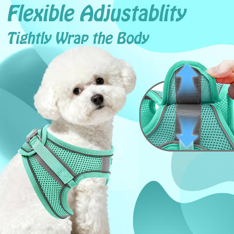 AIITLE No Pull Dog Harness and Leash Set, Step in Adjustable Dog Harness with Padded Vest for All Weather, Dog Leash with Soft Padded Handle, Easy to Put on Small and Medium Dogs Pure Turquoise S S(Chest: 13.5 - 16") - PawsPlanet Australia